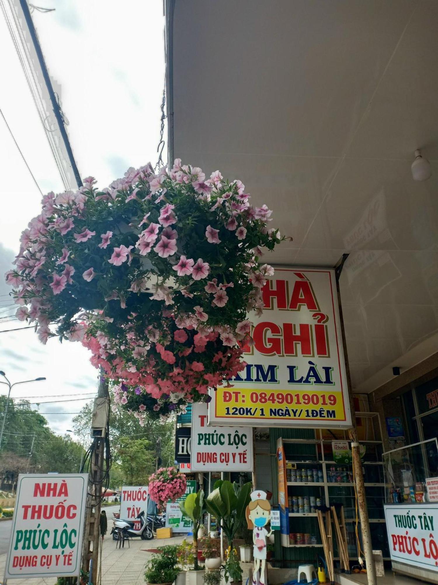 Nhà Nghỉ Kim Lài Plây Ku Exterior foto